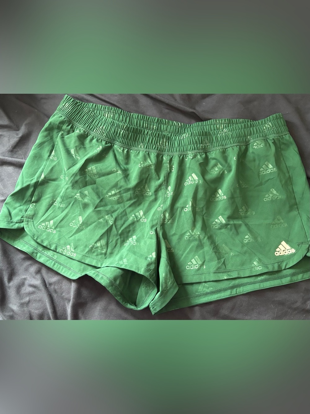 Women's XL Adidas Green Badge Of Sport Print AEROREADY Athletic Shorts (NWT)